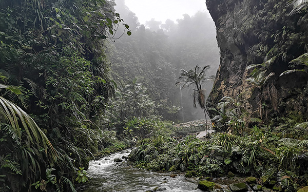 Acantilado Catarata Río Agrio- Bajos del Toro