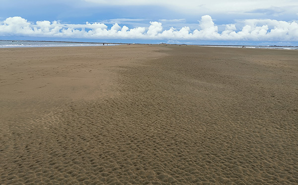 Banco de Arena Playa - Parque Nacional Marino Ballena