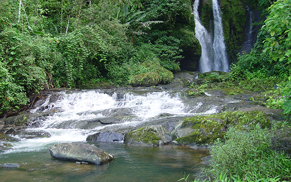 Catarata las Gemelas : Tinamaste, Barú