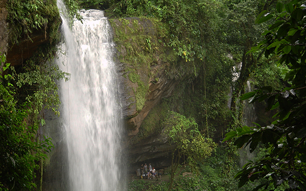 Catarata Río Diamante : Tinamaste, Barú