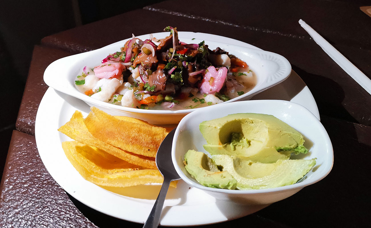 ceviche-mixto-la-casona-de-laly-guayabos-curridabat-san-jose-05102023