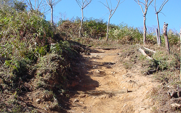 Cuesta el Termometro : Parque Nacional Chirripo