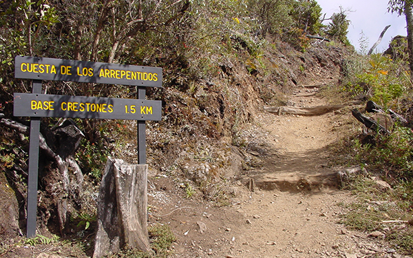 Cuesta Los Arrepentidos : Parque Nacional Chirripo