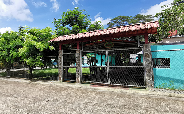 Escuela San Antonio de Tulin : Carara