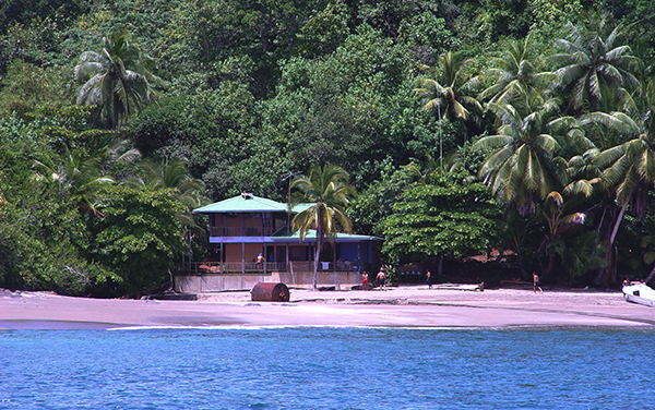 Reserva Biológica Isla del Caño : Osa