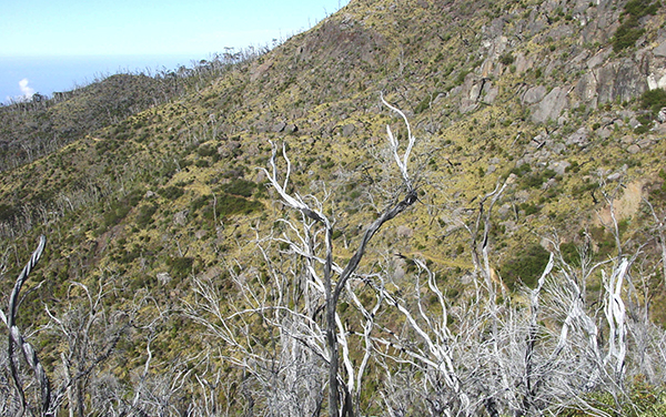 FInal Cuesta los Arrepentidos : Parque Nacional Chirripo