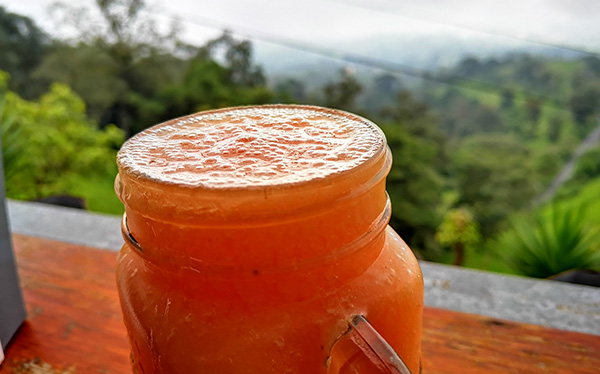 Fresco Frutas - Soda la Esperanza - Rancho Redondo, Coronado, San José