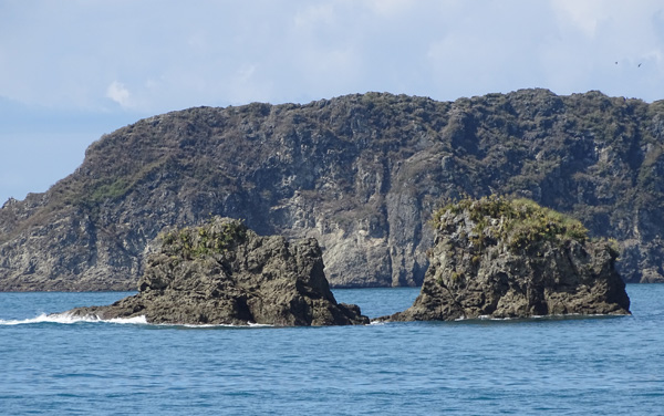 Islas Gemelas : Playa Espadilla Manuel Antonio