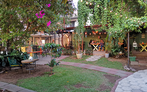 Jardin : Bajo Sombra Cafetería