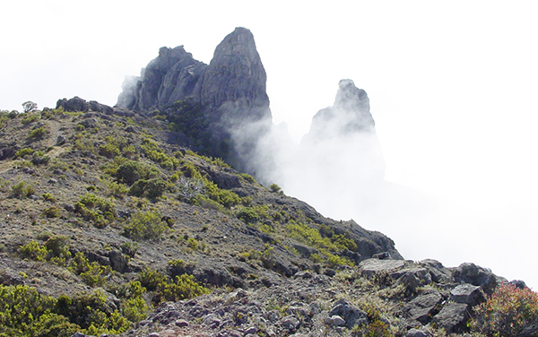 Sector Este Los Crestones : Parque Nacional Chirripo