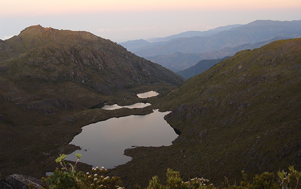 Laguna San Juan ( Pececito, Tortirrica ) : Parque Nacional Chirripo