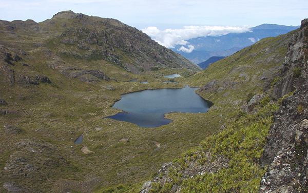 Laguna San Juan ( Pececito, Tortirrica ) : Parque Nacional Chirripo