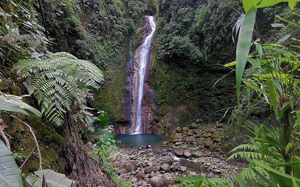 Vista Catarata Tesoro Escondido - Zarchi