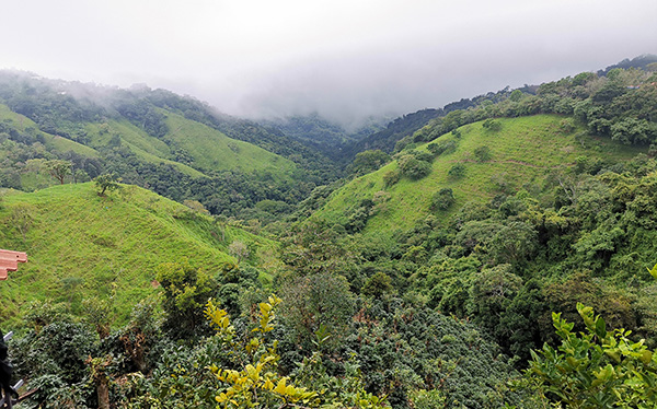 Panorámica - Mirador la Casita del Café