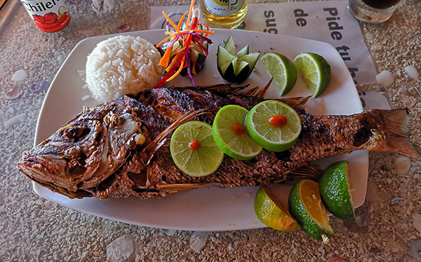 Pargo Frito - Claritas Beach Bar Grill & Hotel