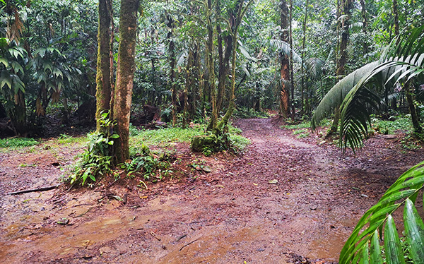 Parqueo Catarata Río Pozo Azul, Sarapiquí, Heredia