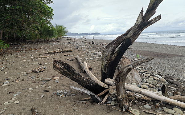 Playa Dominical - Puntarenas