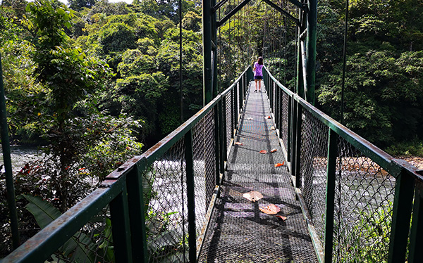 Puente Colgante sobre Río Sarapiquí Hotel Selvaverde Chilamate  Sarapiquí