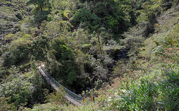 Puente colgante a Mirador Tesoro Escondido - Zarchi