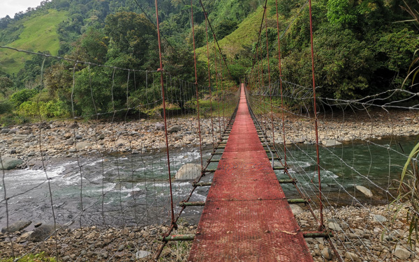 Puente Colgante Río Division : Savegre Abajo