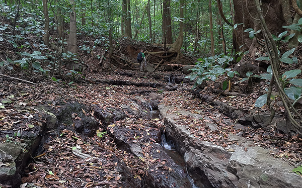 Quebrada Cangrejal - Parque Nacional la Cangreja