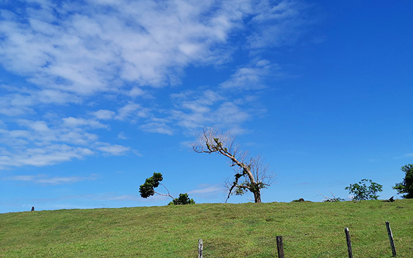 Ruta a Reserva Ecológica Bijagual, Heredia, Costa Rica