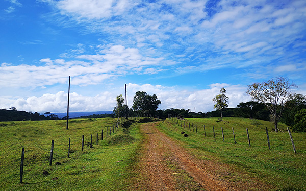 Escenarios Reserva Ecológica Bijagual, Heredia, Costa Rica