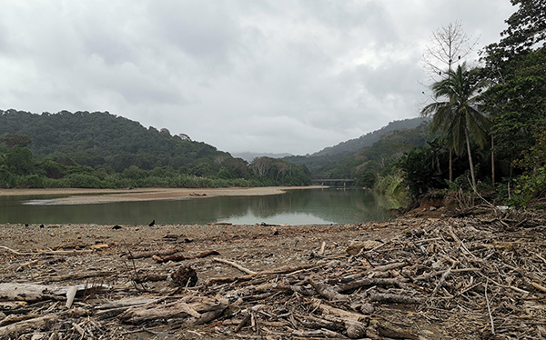 Desembocadura Río Barú - Dominical Puntarenas