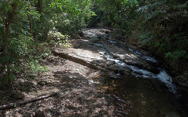 Río Negro - Parque Nacional la Cangreja