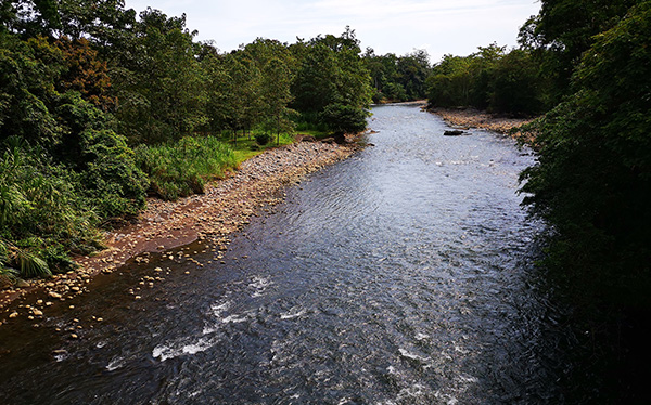 Río Sarapiquí Hotel Selvaverde Chilamate  Sarapiquí