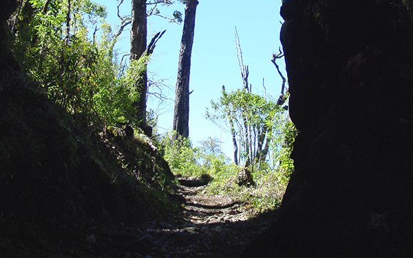 Ingreso a los Quemados : Parque Nacional Chirripo