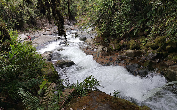 Sendero a Pozas Celestes - Río Agrio