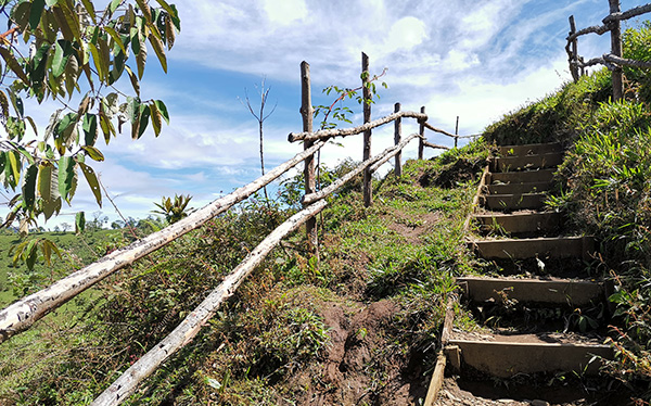 Sendero a Mirador Tesoro Escondido - Zarchi