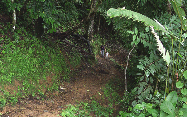 Sendero Rustico : Catarata Rio Diamante