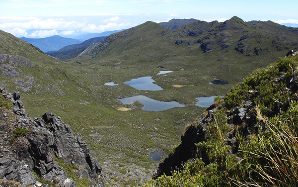 Valle de las Morrenas : Parque Nacional Chirripo