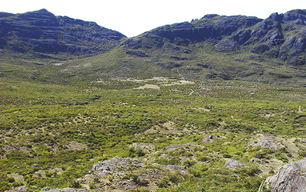 Valle de los Conejos : Parque Nacional Chirripo