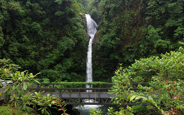 catarata el angel cariblanco heredia