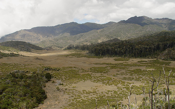 Vista desde el Oeste Sabana los Leones : Parque Nacional Chirripo