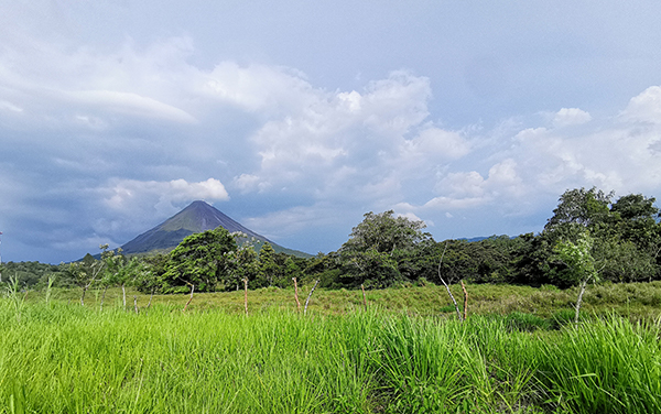 Vista del Volcán Arenal : Jilguero